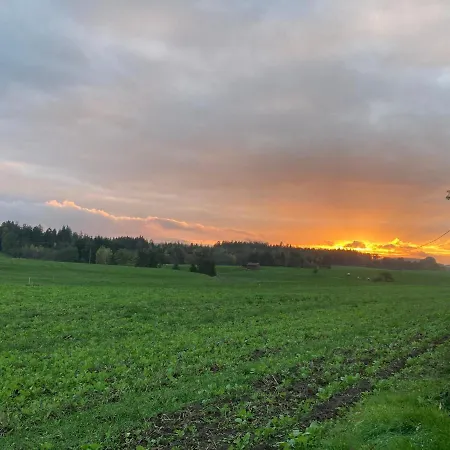 Hotel-pension-waldblick