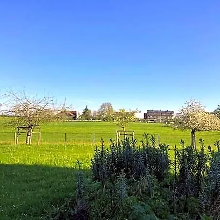 Отель Hotel-pension-waldblick Mainhardt